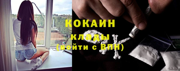 тгк Новозыбков