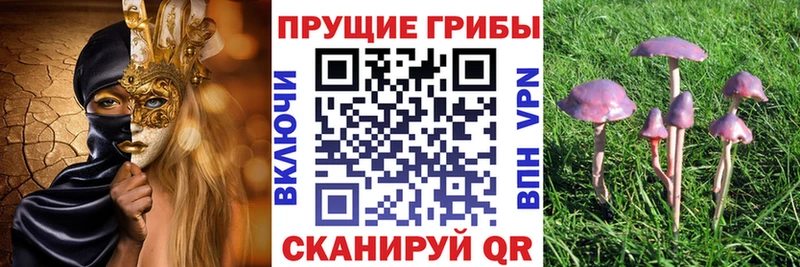 Галлюциногенные грибы прущие грибы  цены наркотик  Шелехов 